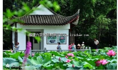 ���ݲ�ͤ��԰