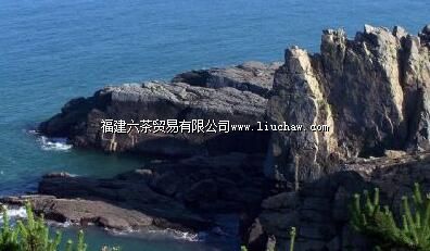 ƽ̶���˾�����