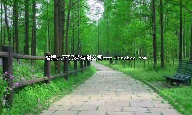 ƽ̶��������ɭ�ֹ�԰