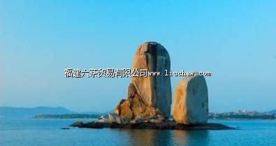 ƽ̶������̳����