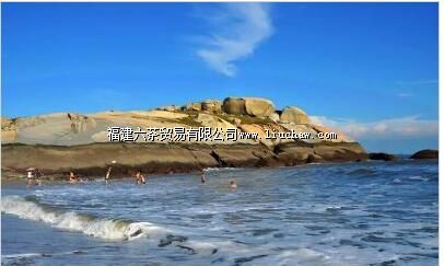 ��̳����