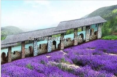 �й������¡���˿�����