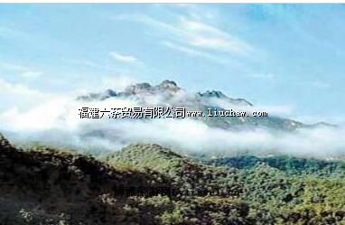 �������ɽ