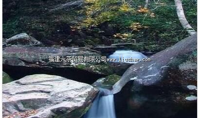 ��������Ȼ������