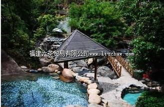 ��������Ȫ