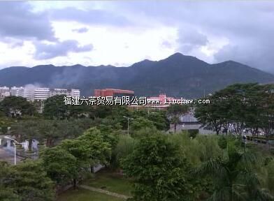 ������ҽҩ��ѧ