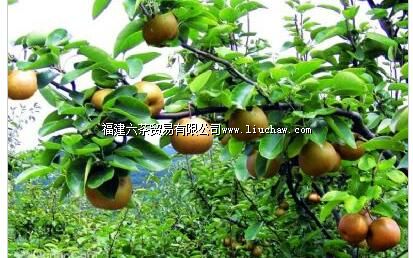 绿丰农业生态园