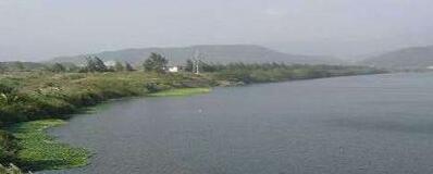 西溪温泉森林公园