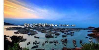 奇达渔村(奇达村)