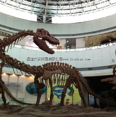 ��������Ժ��Ȼ�ݣ�������Ȼ�ݣ�