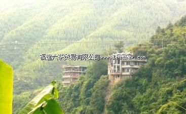 ������ɽ��