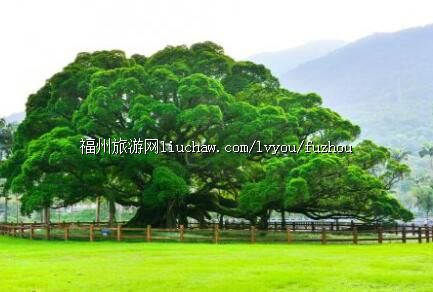 .���ݹ���ɭ�ֹ�԰