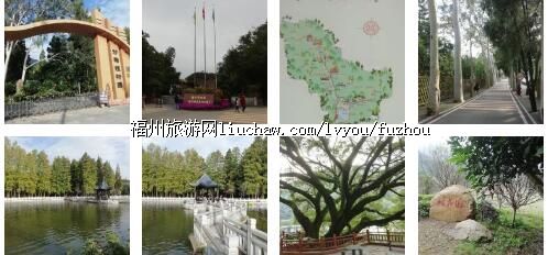 .���ݹ���ɭ�ֹ�԰��ϡֲ��԰