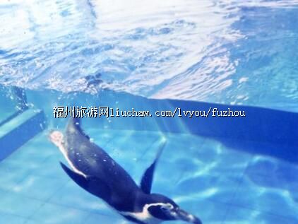 .�󺣺�������