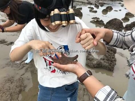 �ҎZǰ�����g�����B�w�