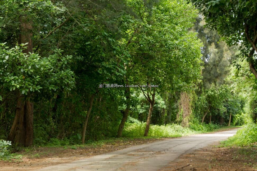 �����l-����ʷ۔������ɽ�ֵ���