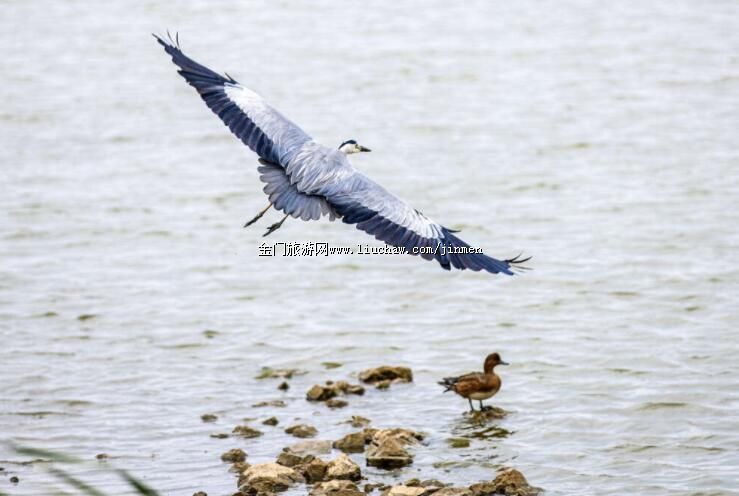 �ҎZ�l-�����L�پ�����ˮ����ϸ����