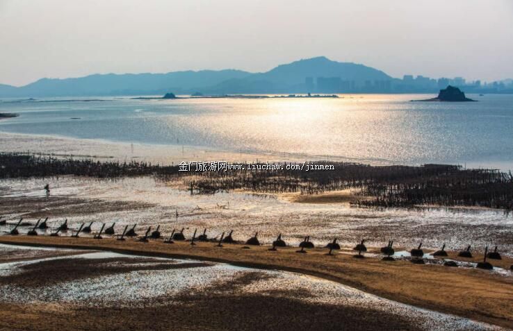 �ҎZ�l-�����L�پ���؈��ʯ�I�������^��