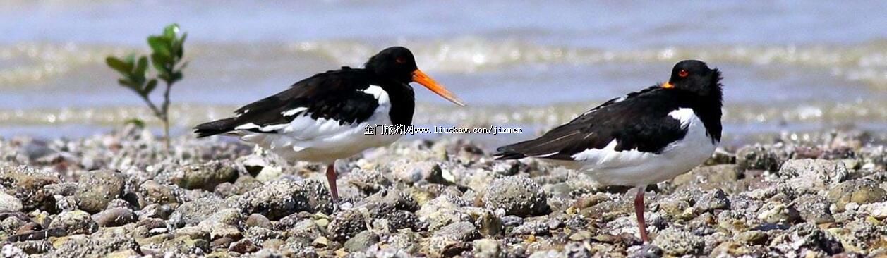 �S������Ȼ���B���p�Bˮ�H���}��