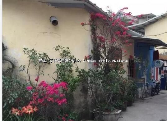 �������й���