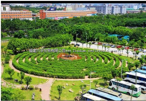 �������Ļ�԰