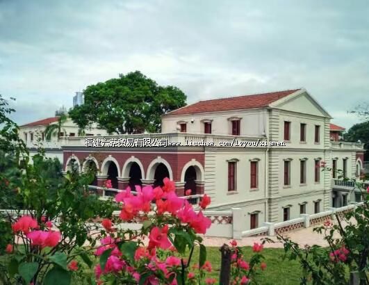 �ʹ���������������