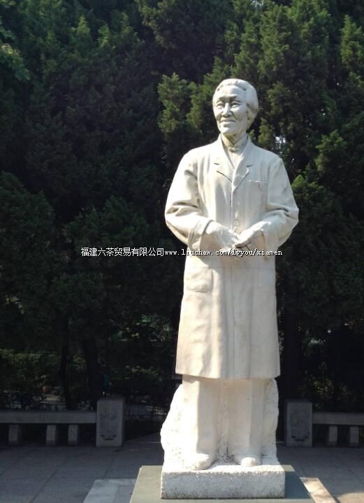 �����ɼ����