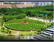 �Լ�ͬ�����������Լ�2��1 ҹ��