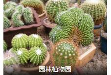 文创艺术品鉴之旅