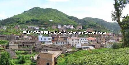 ���ŵ͵��ĹŴ��䣬���ž�����ɫ�����Ŵ���һ��Ҫÿ����ȥһ�飡