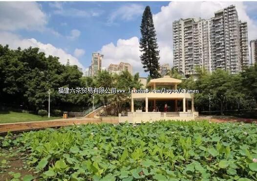 ��Щ�������š������롱����о���ζ�����������ź���