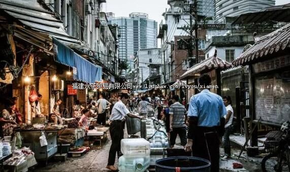 �����������ţ���������Щ�������