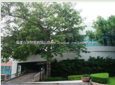 �����졡������