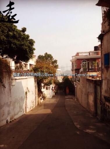 鼓浪屿珍奇世界