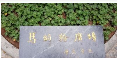 ��Լ���㳡