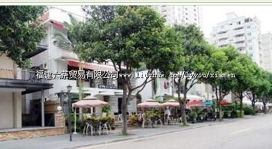 ���̿���һ����