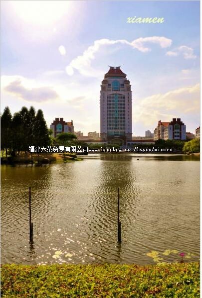 ���Ŵ�ѧ�̶�¥Ⱥ