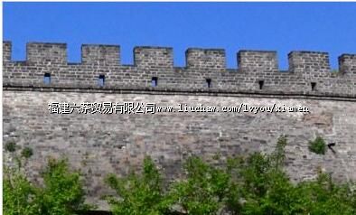 ���ų���ַ+