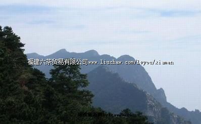 �������Ϸ�