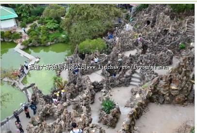 ʮ������