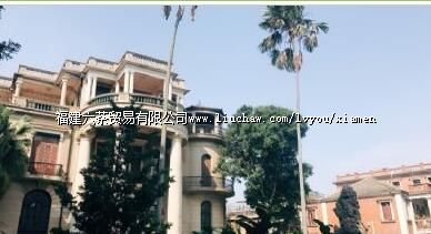 �й���Ƭ�����