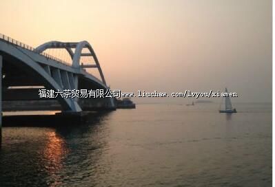 ������Ե�巫����