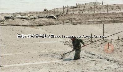 �����幫԰