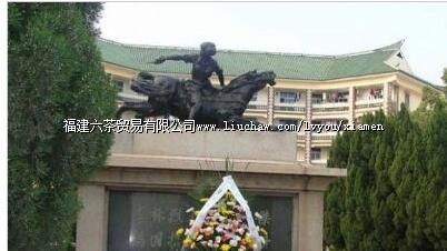 ������ʿ�����