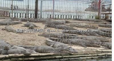 ��˳����԰