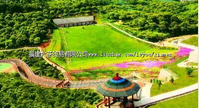 ����˫��̶