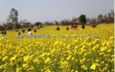 ��ɽ��Ұ��԰