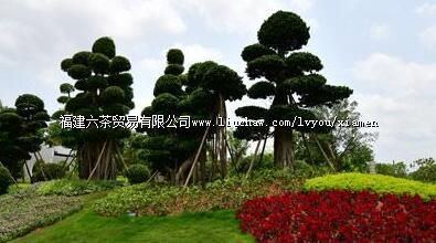 ���̿Ƽ���