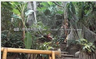 ͬ��Ұɽ���ȴ�����+