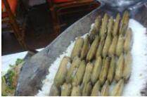 ͬ������-�������ŵ�